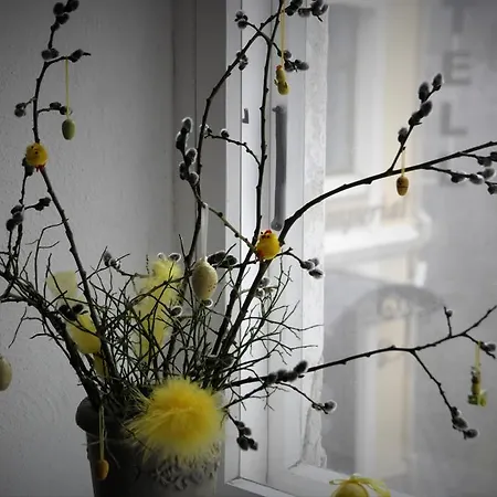 Apartment Calandra Tallinn